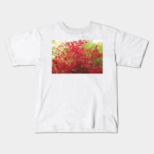 Red Japanese Maple Tree Kids T-Shirt